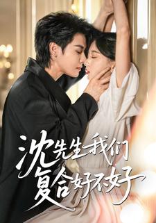 沈先生我们复合好不好