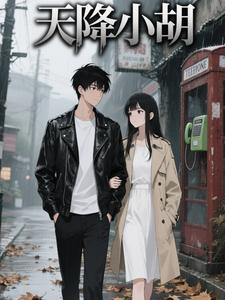 天降小胡