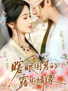 瞎眼国舅的露水情缘