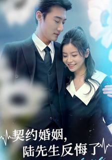 契约婚姻,陆先生反悔了