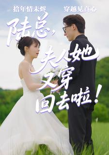 陆总,夫人她又穿回去啦