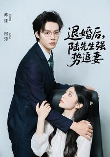 退婚后,陆先生强势追妻
