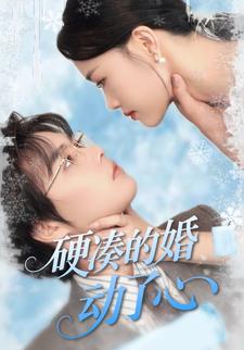 硬凑的婚,动了心