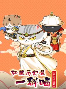 如果历史是一群喵南宋金元篇