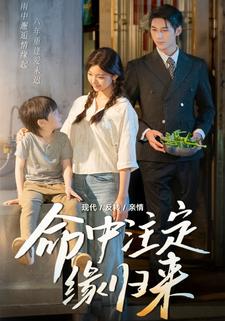 命中注定缘归来