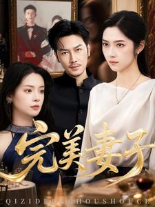 完美妻子