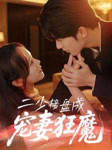 二少接盘成宠妻狂魔