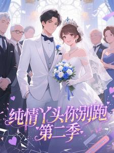 纯情丫头你别跑第二季