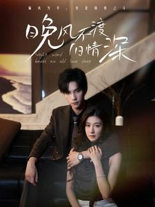 晚风不渡旧情深