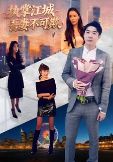 执掌江城，吾妻不可欺