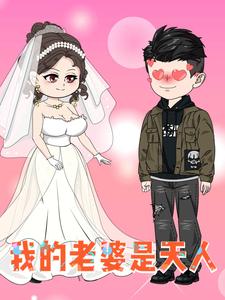 我的老婆是天人