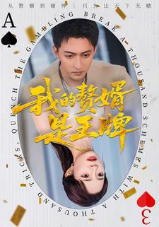 我的赘婿是王牌