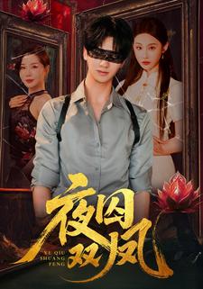夜囚双凤