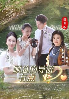 顾总的导游有点野