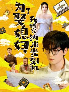 为了娶媳妇，我研究纳米光刻机