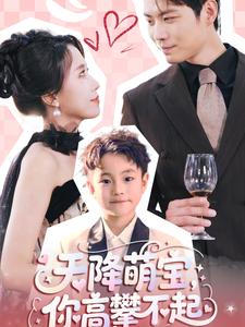 天降萌宝，你高攀不起