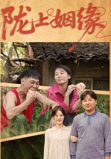 陇上姻缘