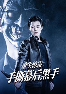 重生惊雷：手撕幕后黑手