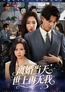 离婚当天，世上再无我