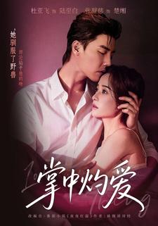 掌中灼爱