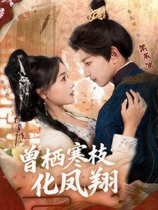 曾栖寒枝化凤翔