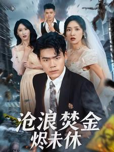 沧浪焚金烬未休