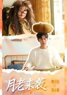 月老来袭