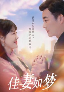 佳妻如梦