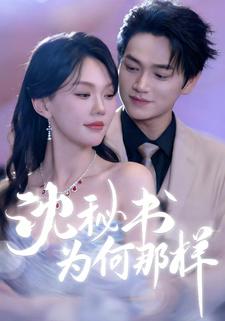 沈秘书为何那样