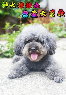 神犬锤锤之雷霆大营救