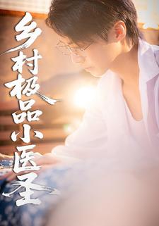 乡村极品小医圣