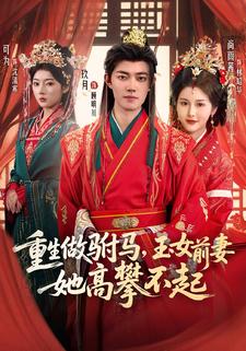 重生做驸马，玉女前妻她高攀不起