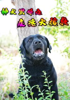 神犬黑妹之疾速大援救