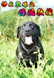 神犬黑妹之惊魂救援