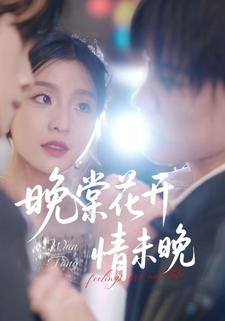 晚棠花开情未晚