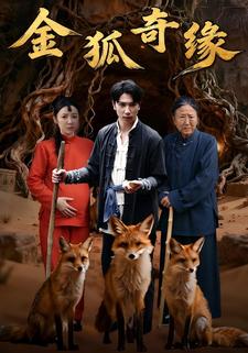 金狐奇缘