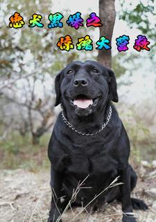 忠犬黑妹之惊魂大营救