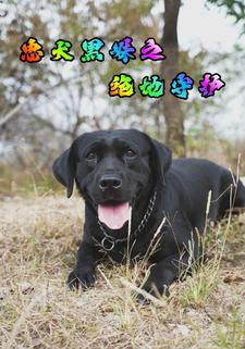 忠犬黑妹之绝地守护