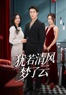 犹若清风梦了云