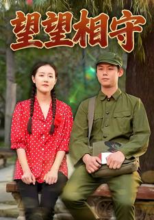 望望相守