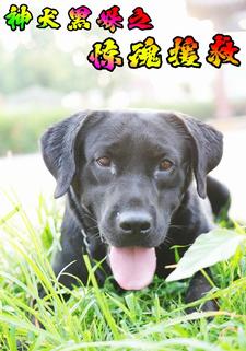 神犬黑妹之惊魂援救