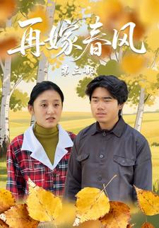 再嫁春风第三部