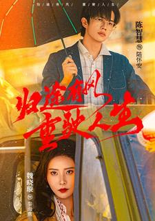 归途有风重驶人生