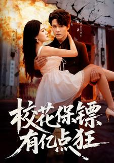 校花保镖有亿点狂