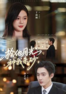 拾他月光种我朱砂