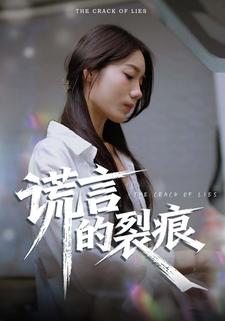 谎言的裂痕