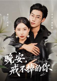 晚安，戒不掉的你