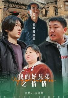 我的好兄弟之情债