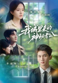 我城里来的神秘老公