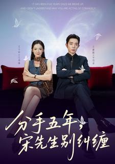 分手五年，宋先生别纠缠